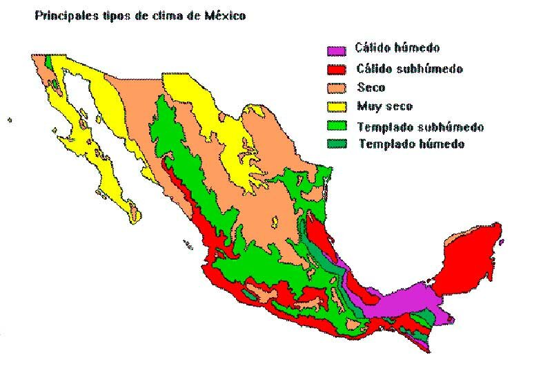 Mexico dick barr